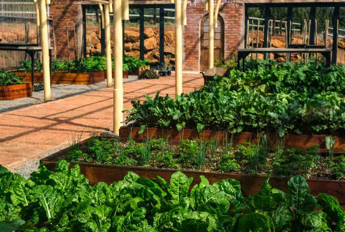 Raised Garden Bed Setup