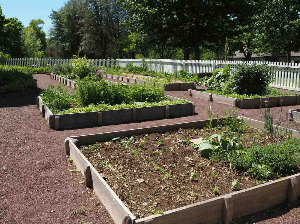 Why Raised Garden Beds Are Perfect for Beginners