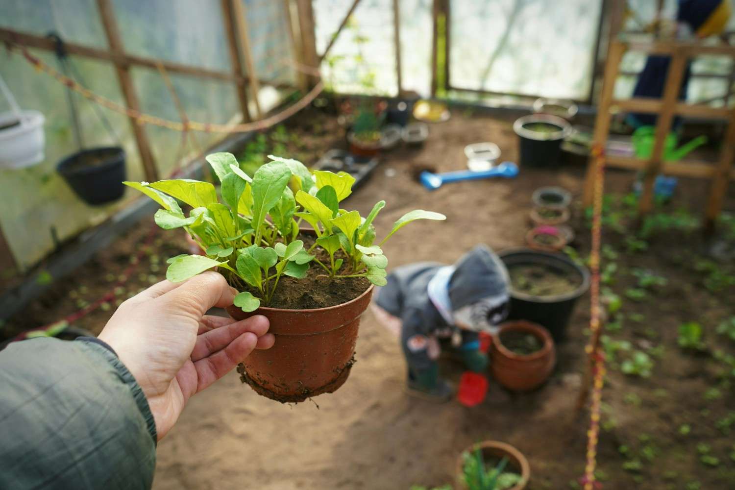 fast growing plants in May