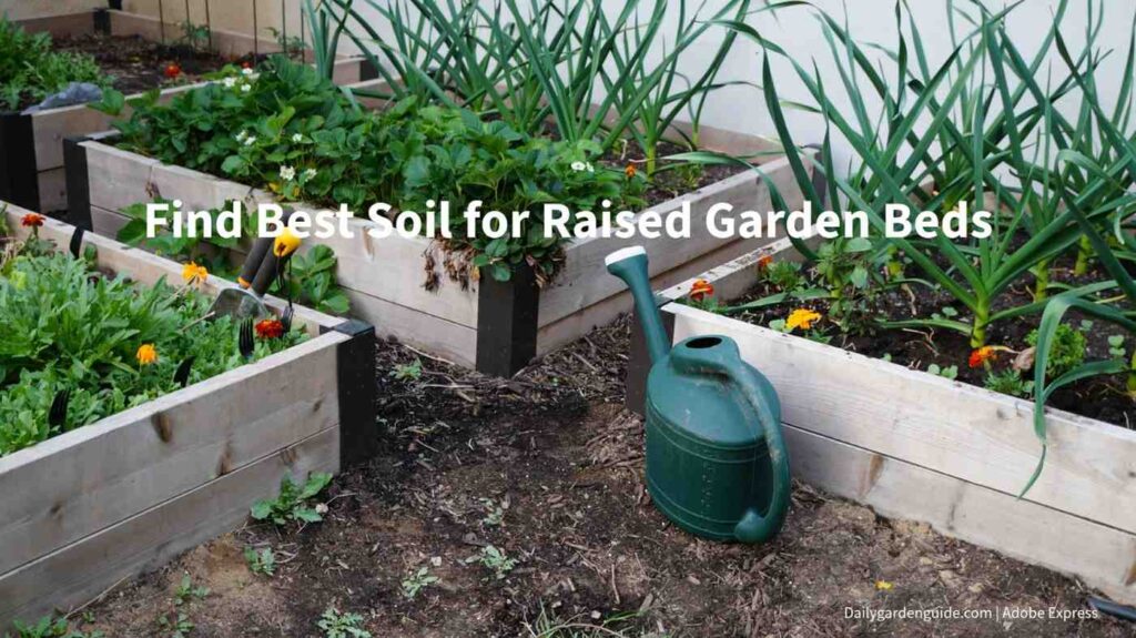 Raised garden bed setup
